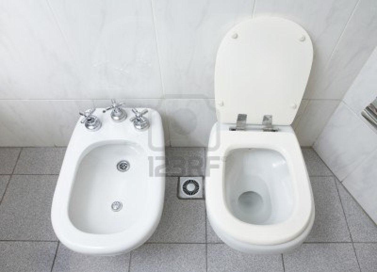 toilets that wash your ass Toilets that wash your ass